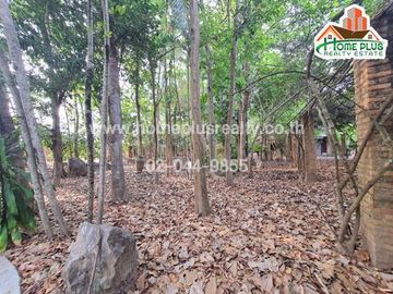ที่ดินพร้อมสิ่งปลูกสร้าง อำเภอสันทราย เชียงใหม่