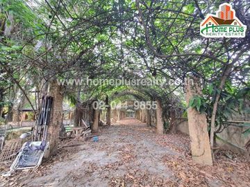 ที่ดินพร้อมสิ่งปลูกสร้าง อำเภอสันทราย เชียงใหม่