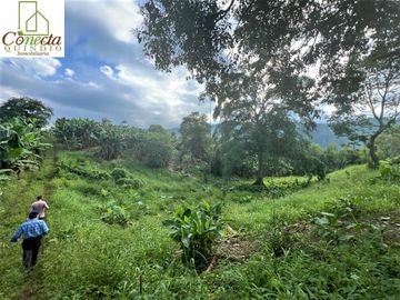 Finca Venta – Barcelona Quindío