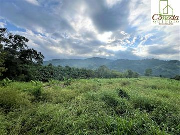 Finca Venta – Barcelona Quindío