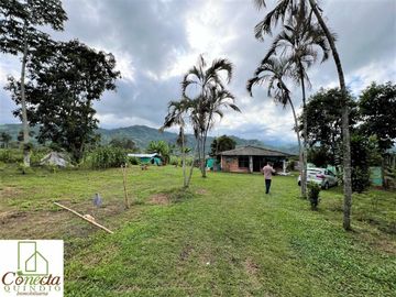 Finca Venta – Barcelona Quindío