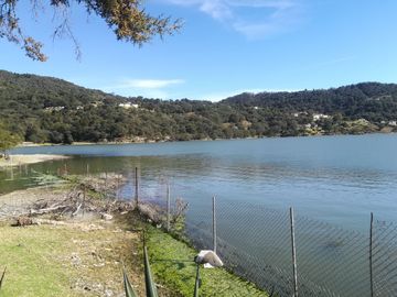 TERRENO EN VENTA “ESTANZUELA -MINERAL DEL CHICO”