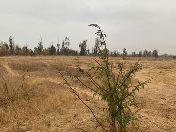 Vendo terreno urbano 51.000 m2, sector Maule Norte