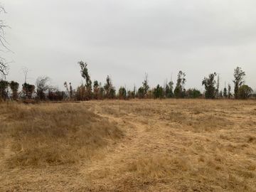 Vendo terreno urbano 51.000 m2, sector Maule Norte