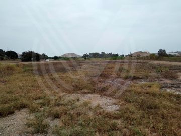 GRAN OPORTUNIDAD: SE VENDE TERRENO AGRÍCOLA DE 4,700 m²A MITAD DE PRECIO