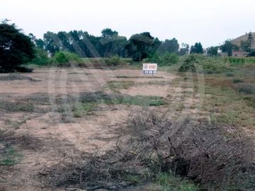 GRAN OPORTUNIDAD: SE VENDE TERRENO AGRÍCOLA DE 4,700 m²A MITAD DE PRECIO