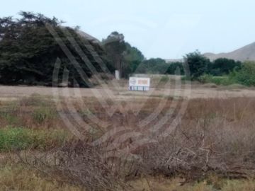 GRAN OPORTUNIDAD: SE VENDE TERRENO AGRÍCOLA DE 4,700 m²A MITAD DE PRECIO