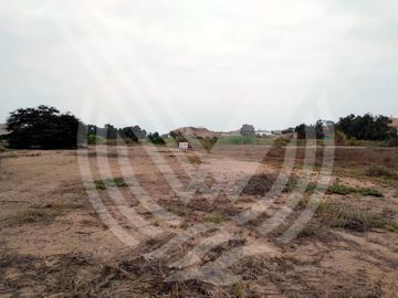 GRAN OPORTUNIDAD: SE VENDE TERRENO AGRÍCOLA DE 4,700 m²A MITAD DE PRECIO