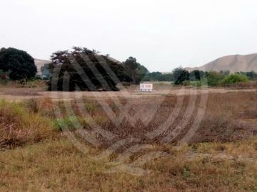 GRAN OPORTUNIDAD: SE VENDE TERRENO AGRÍCOLA DE 4,700 m²A MITAD DE PRECIO