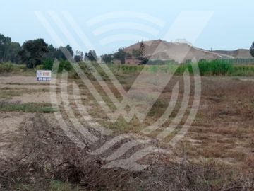 GRAN OPORTUNIDAD: SE VENDE TERRENO AGRÍCOLA DE 4,700 m²A MITAD DE PRECIO