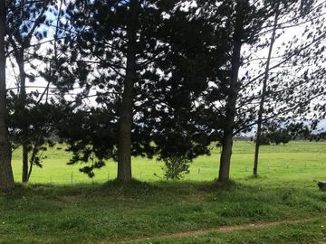 HACIENDA DE 13 HECTÁREAS EN VENTA EN LASSO. PERFECTA PARA FLORICULTORES. TOTALMENTE PLANA.
