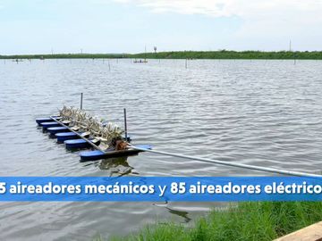 EN VENTA: camaronera de 112 hectáreas en Barbones, El Oro
