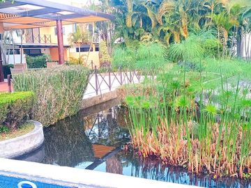 CASA CON APANTLE DENTRO DE CONDOMINIO EN RENTA EN SUMIYA JIUTEPEC
