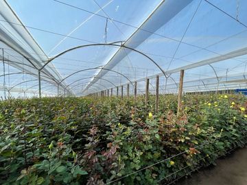 Venta de terreno en Malchingui