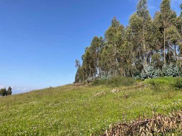 Venta de terreno en Malchingui
