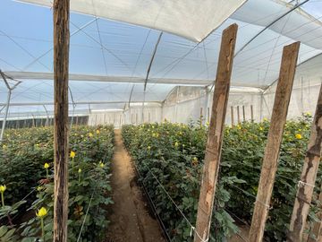 Venta de terreno en Malchingui