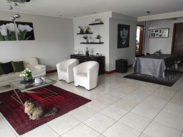 Venta de amplio duplex y minidepartamento independiente, frente a parque., San Isidro