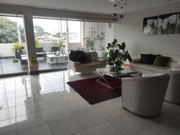 Venta de amplio duplex y minidepartamento independiente, frente a parque., San Isidro