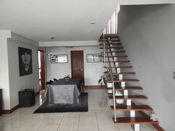 Venta de amplio duplex y minidepartamento independiente, frente a parque., San Isidro
