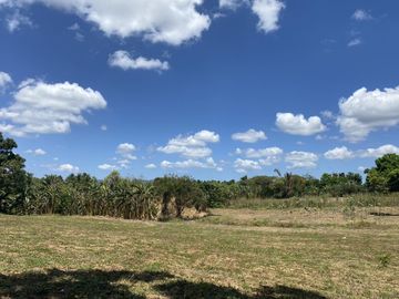 Affordable Pre-selling 996 sqm Farm Lot for sale in Magallanes Cavite