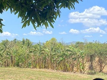 Affordable Pre-selling 996 sqm Farm Lot for sale in Magallanes Cavite