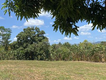 Affordable Pre-selling 996 sqm Farm Lot for sale in Magallanes Cavite