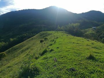 Venta Finca Ganadera Cocorná Antioquia