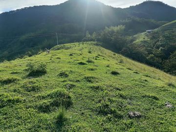 Venta Finca Ganadera Cocorná Antioquia