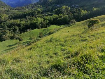 Venta Finca Ganadera Cocorná Antioquia
