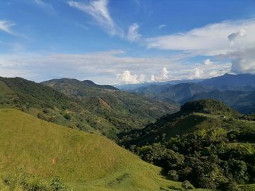 Venta Finca Ganadera Cocorná Antioquia