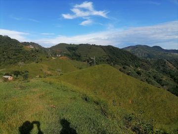 Venta Finca Ganadera Cocorná Antioquia