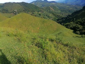 Venta Finca Ganadera Cocorná Antioquia