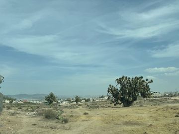 VENTA DE TERRENO EN SANTIAGO TLAPACOYA 4.1 HA