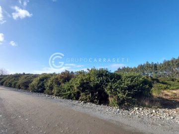 PARCELA A 5 MINUTOS DE PUERTO VARAS