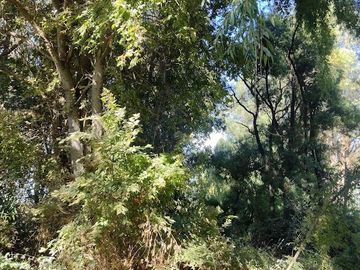 SE VENDE PARCELA EN LA COMUNA DE PENCAHUE ,REGIÓN DEL MAULE SECTOR LAS DOSCIENTAS