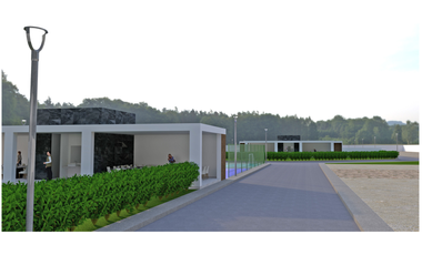 Lote 49
