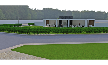 Lote 49