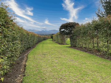Terrenos desde los 800 m²