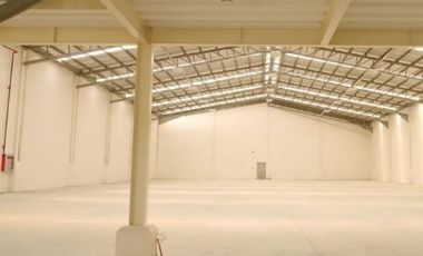 PEZA Warehouse for Lease in Biñan, Laguna at Laguna Technopark | 102 sqm, ALogis Unit 3