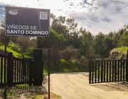 Vinedos de Santo Domingo