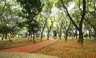 Rumah nyaman view taman