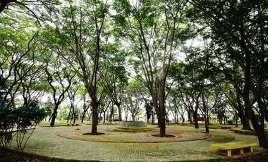 Rumah nyaman view taman