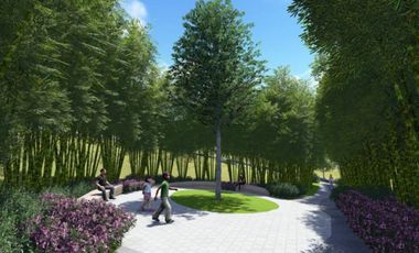 Prime lot in Pahara at Southwoods City