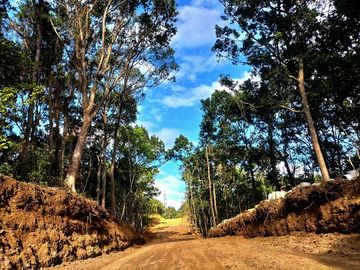 Verterra Highlands Residential Lots in Tanay Rizal overlooking sea of clouds